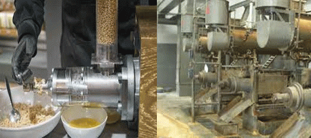 Oil Extraction in Small‐ and Medium‐Sized Facilities